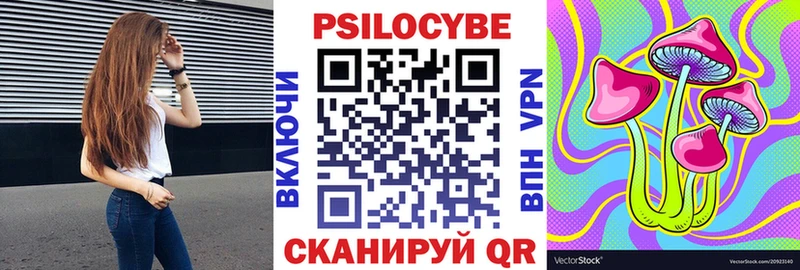 Купить  Новоузенск  Галлюциногенные грибы Cubensis 